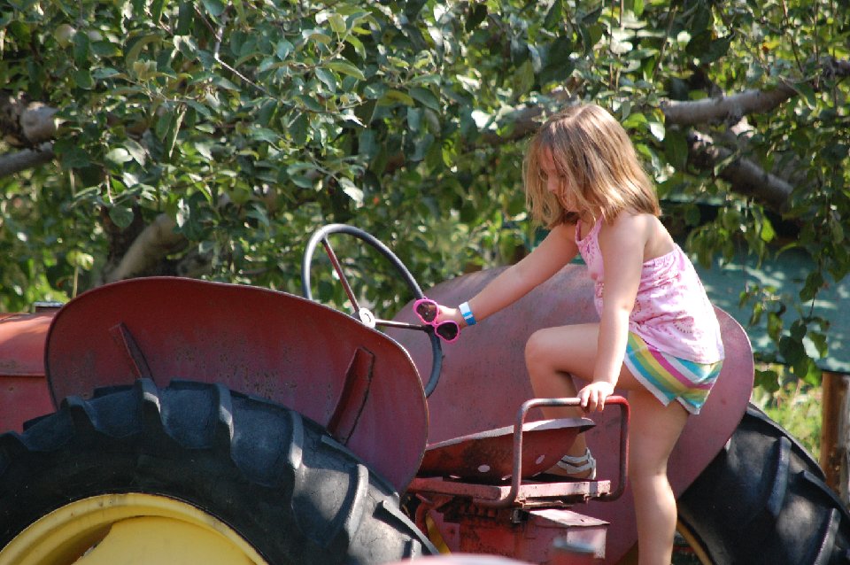 SUMMER (1026)